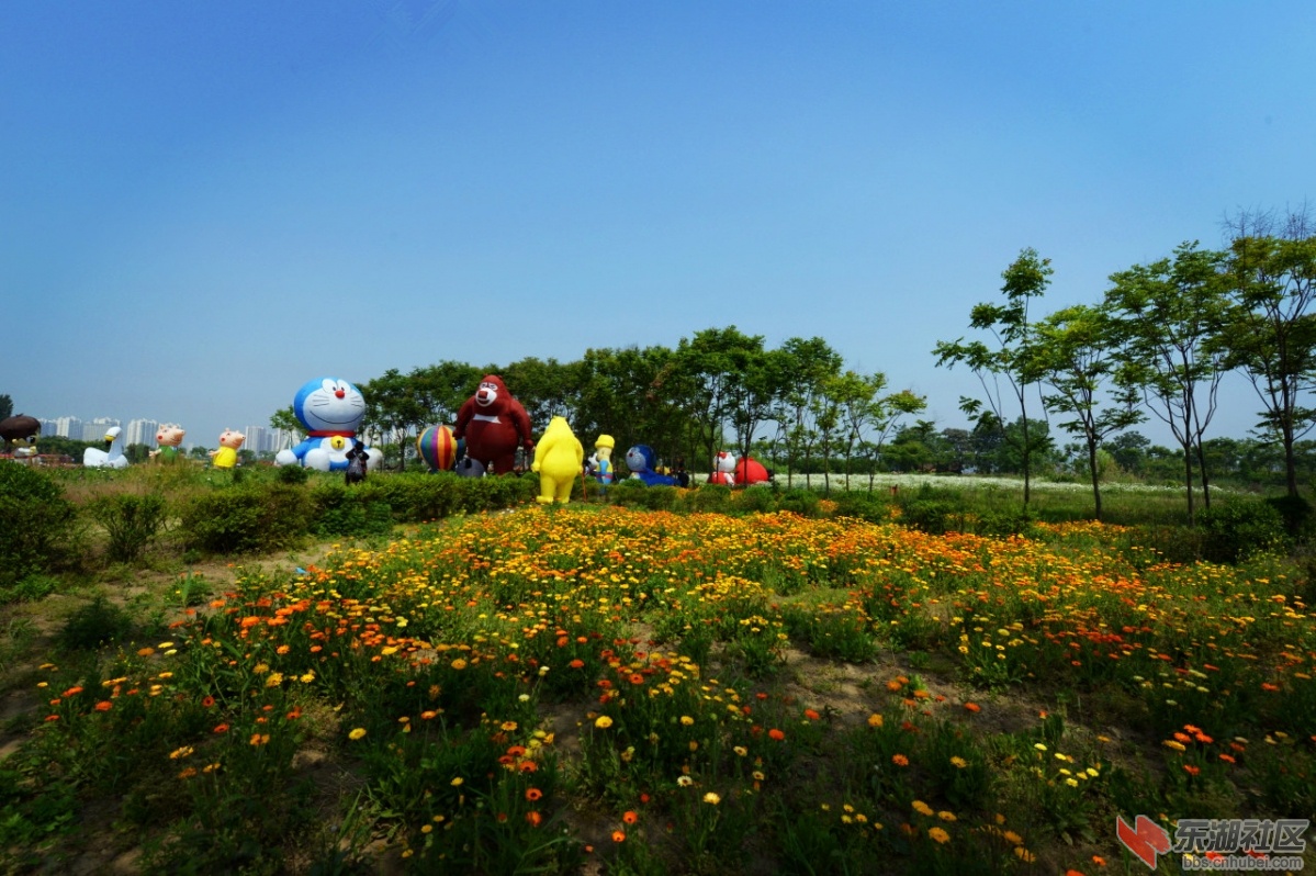 DSC_2464.jpg