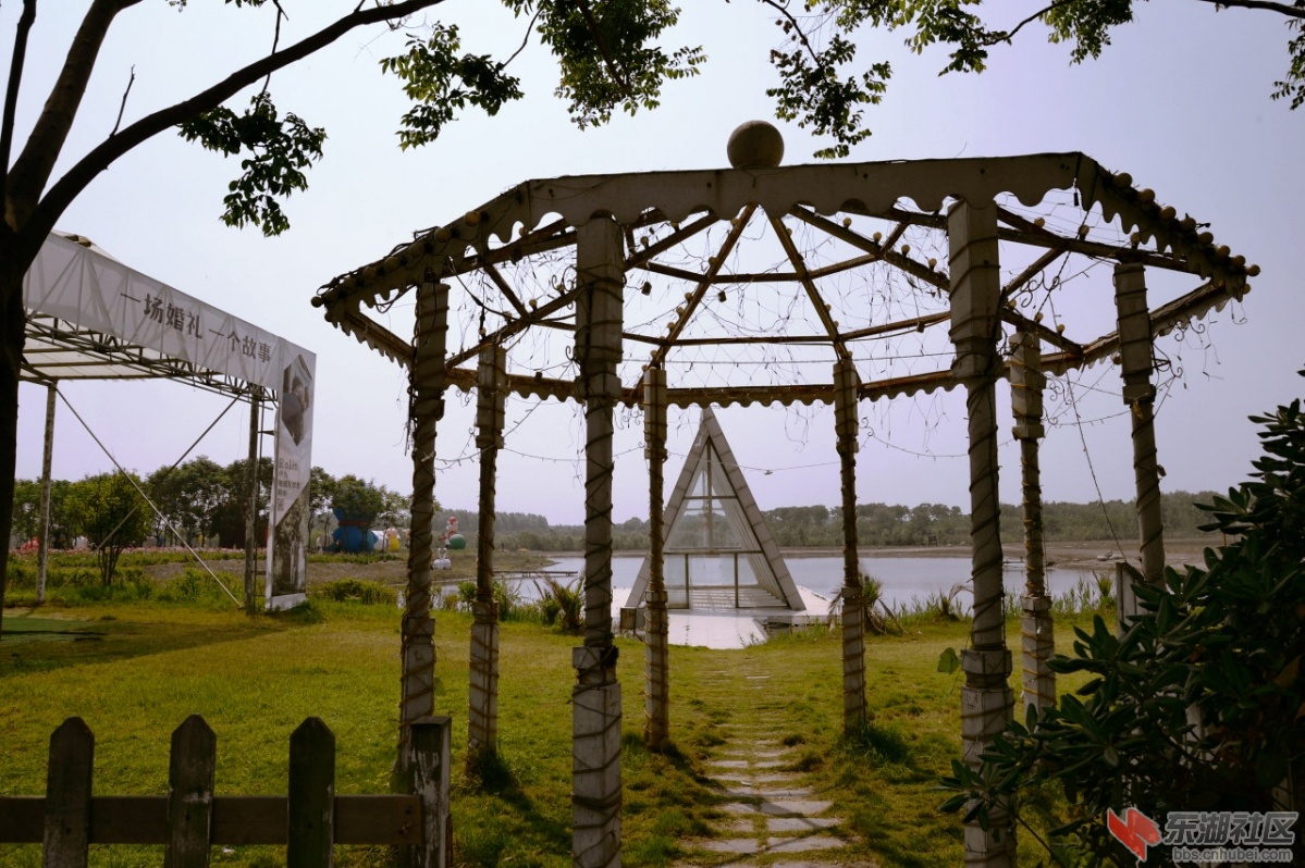 DSC_2474.jpg