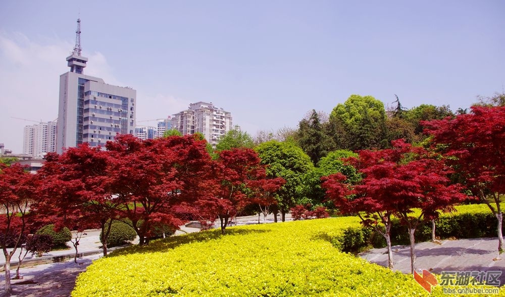 IMGP1437_副本.jpg