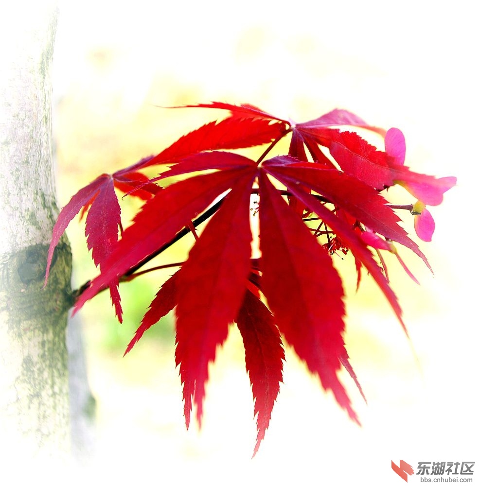 IMGP1471_副本.jpg