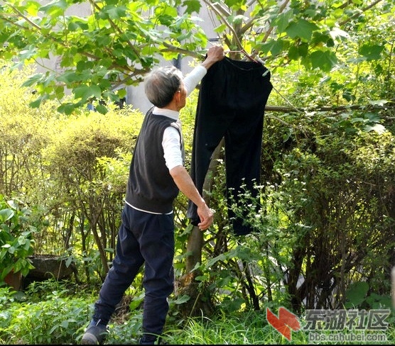金婚老人87岁的田应生、84岁的何云常夫妇相濡以沫诠释爱情