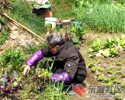 金婚老人87岁的田应生、84岁的何云常夫妇相濡以沫诠释爱情