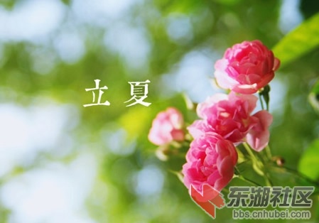 立夏.jpg