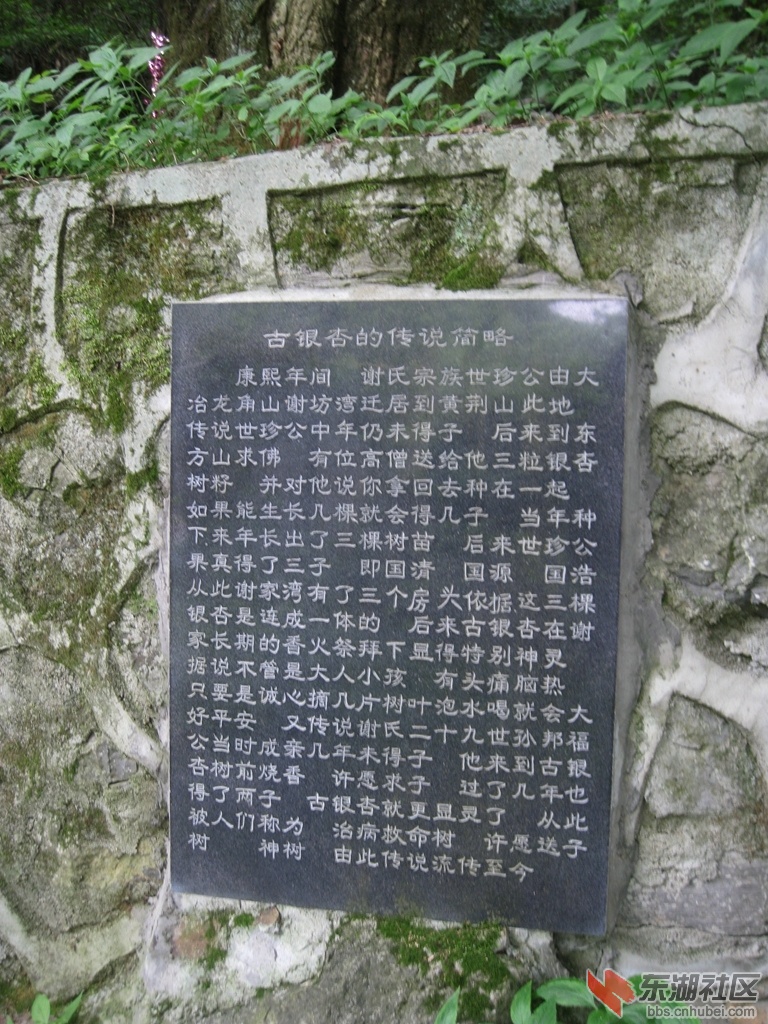 07.jpg
