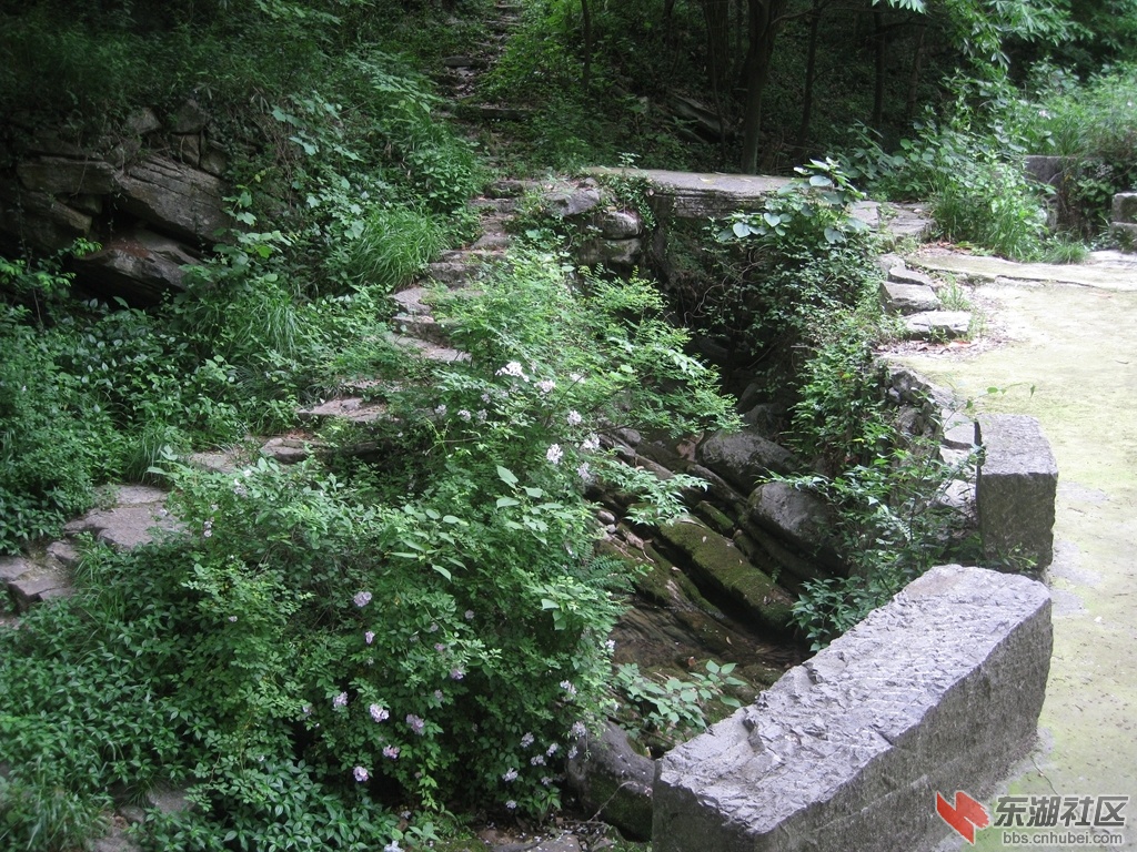 04.jpg