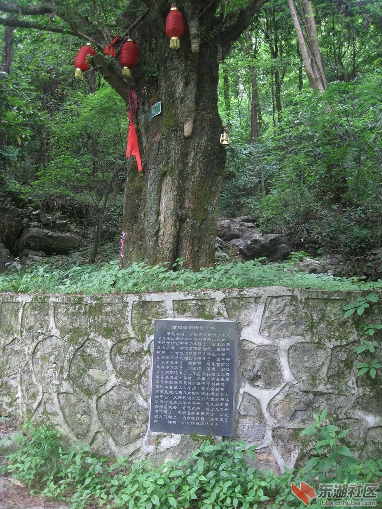 06.jpg