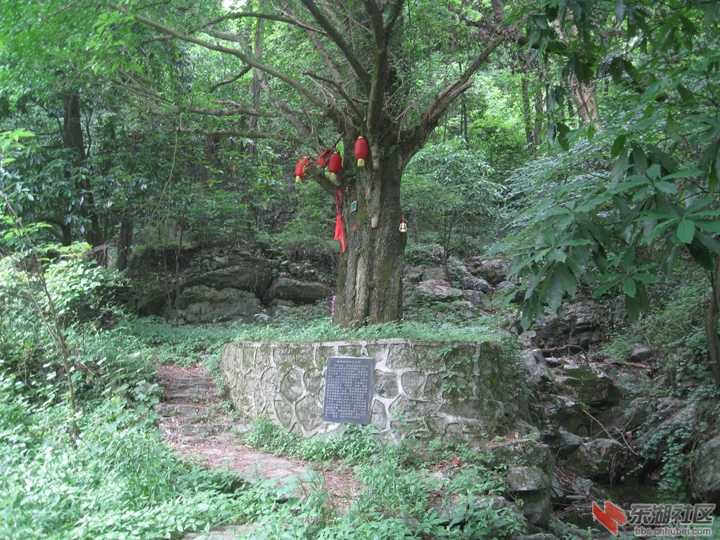 05.jpg