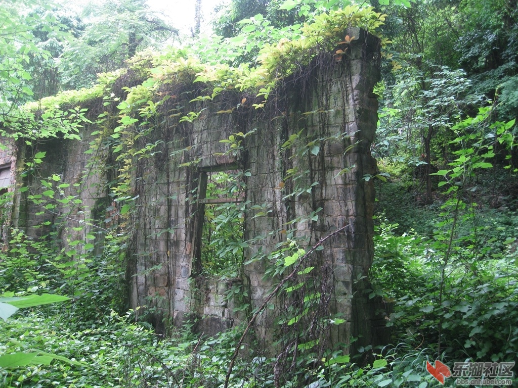 09.jpg