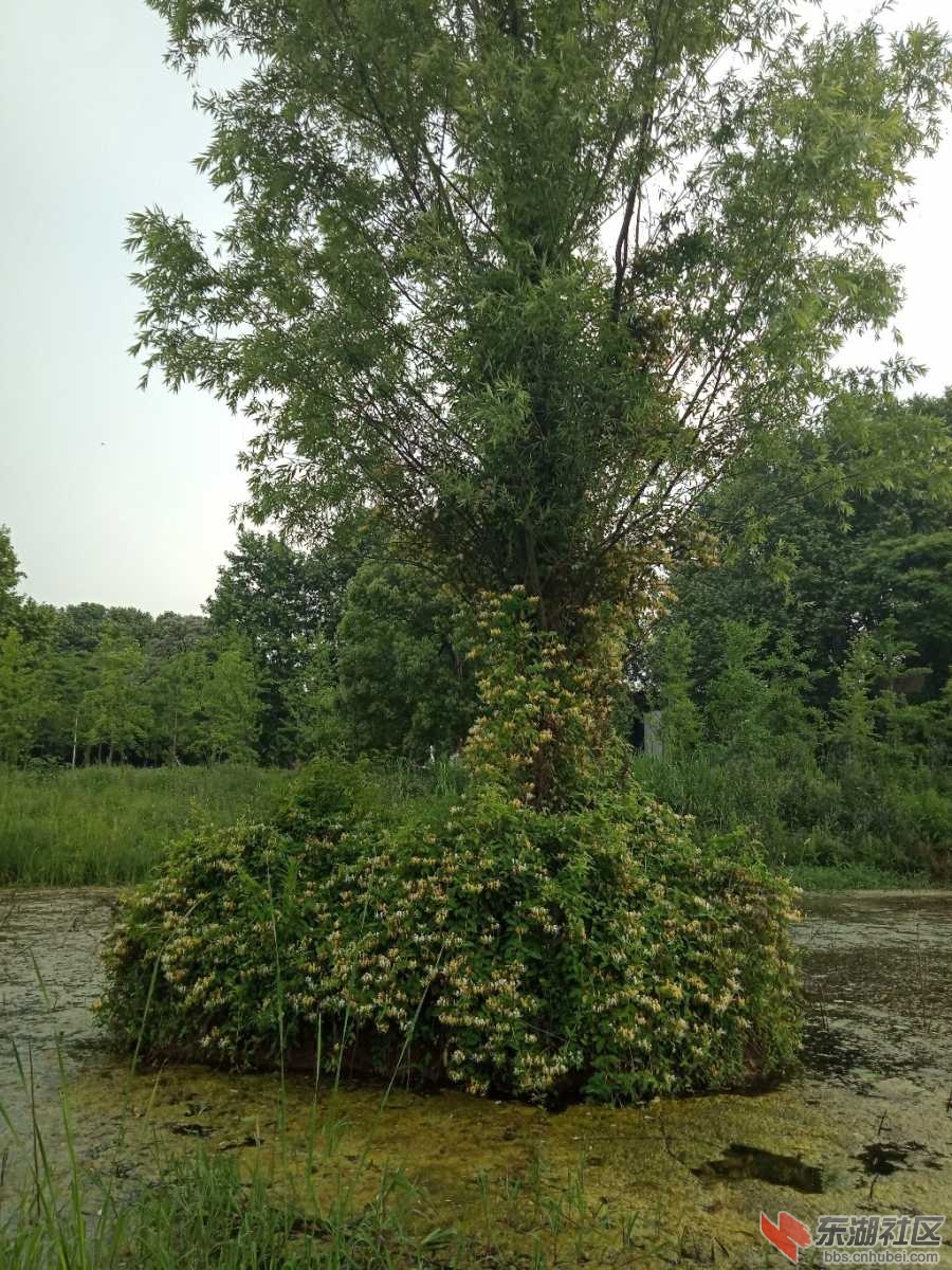 IMG20190505064714.jpg