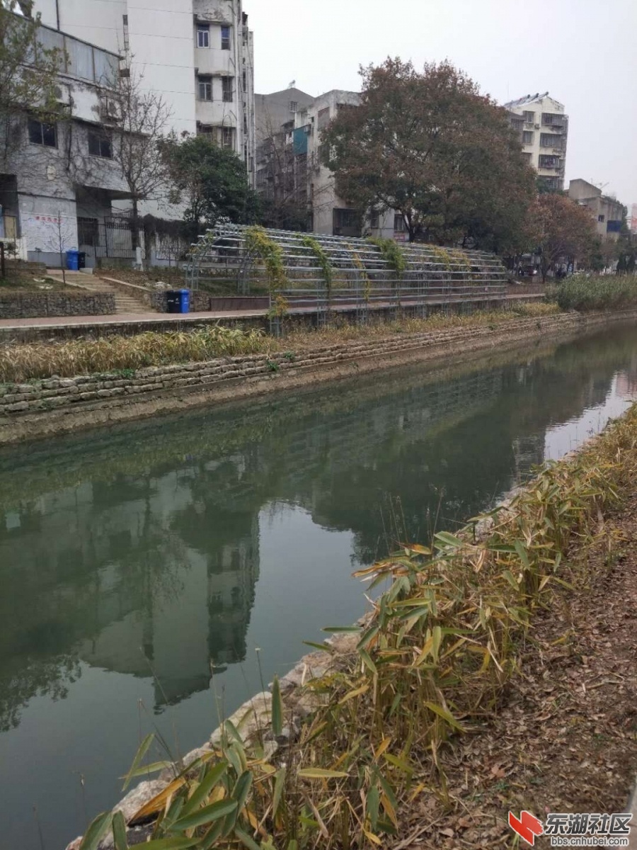 门14.jpg