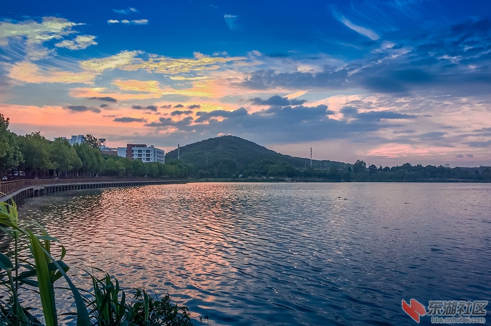 25.华中科技大学喻家湖风光曾院平摄影.JPG