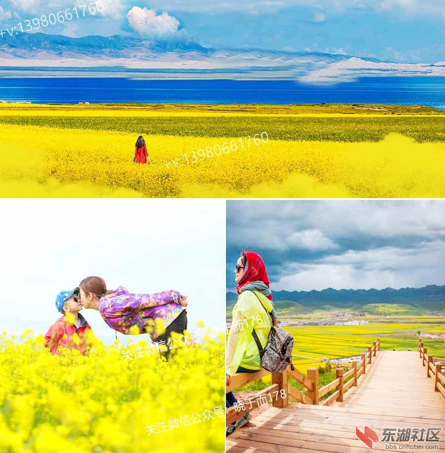 青海组合.jpg