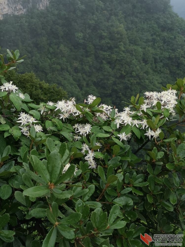 山木通06.jpg