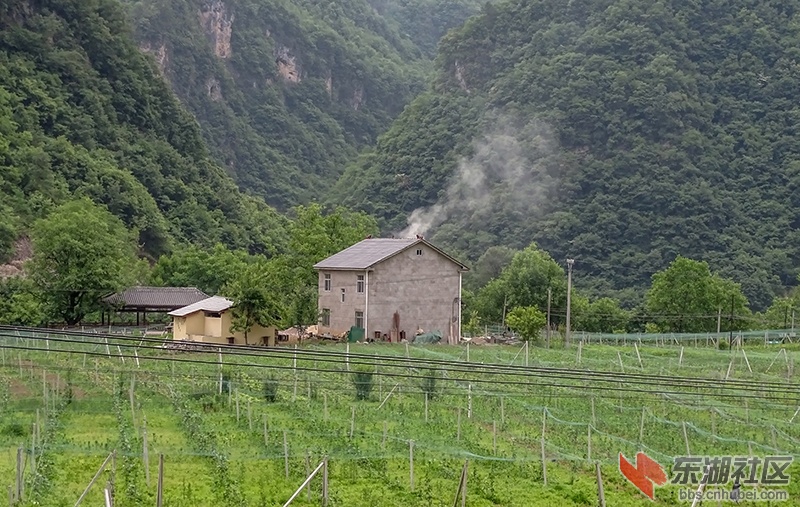 2    DSC04737_副本.jpg