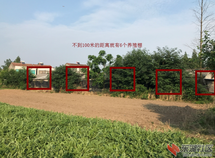 qq图片20190616094459.png