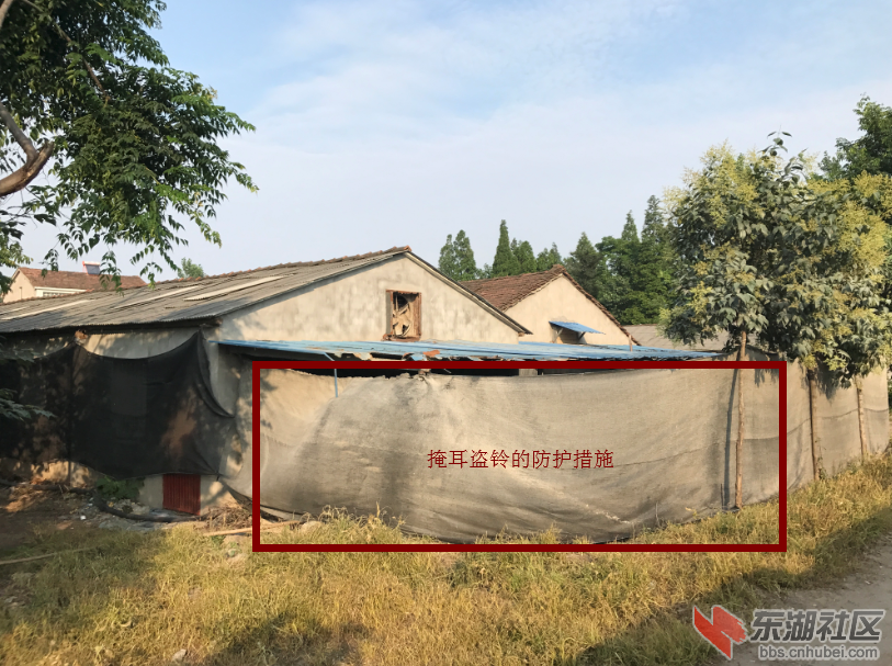 qq图片20190616094542.png