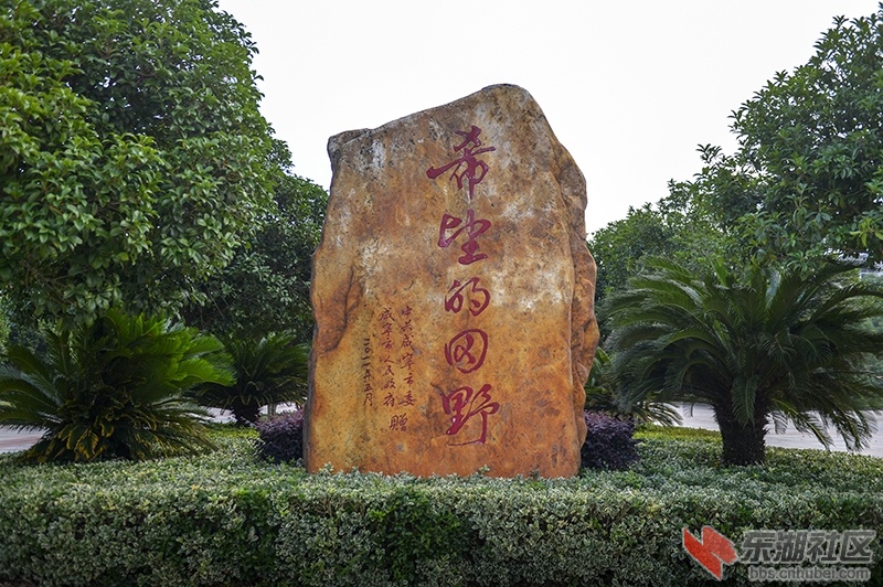 9.曾院平摄影.JPG