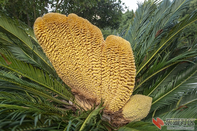 8.曾院平摄影.jpg