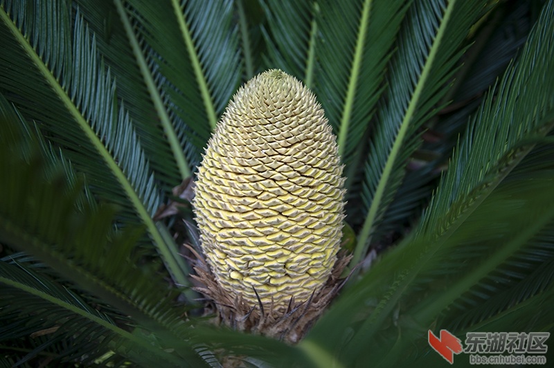 4.曾院平摄影.jpg