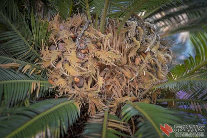 3.曾院平摄影.JPG
