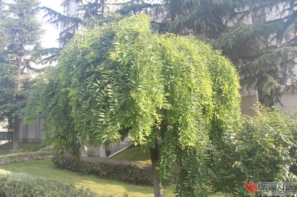 conew_img_9632.jpg