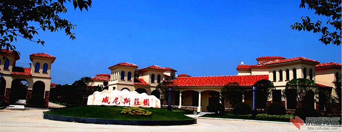 200804xvpwcc5erch56vcz.jpg