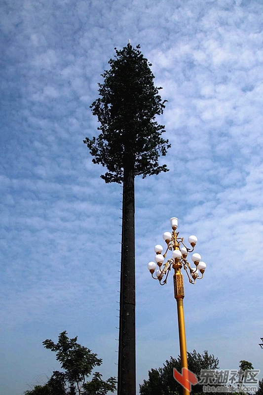 200802ryoo76b77u5uwitm.jpg