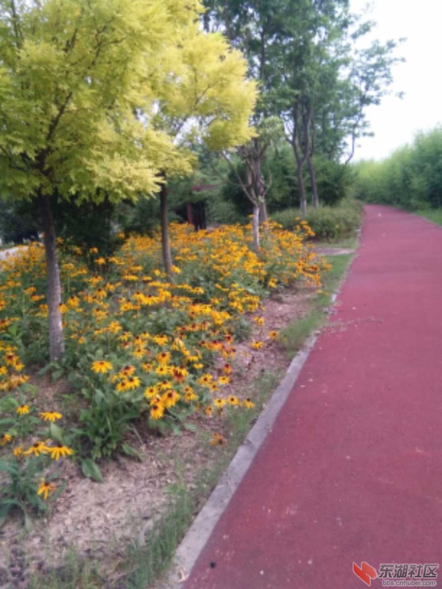 IMG_20190705_161415.jpg