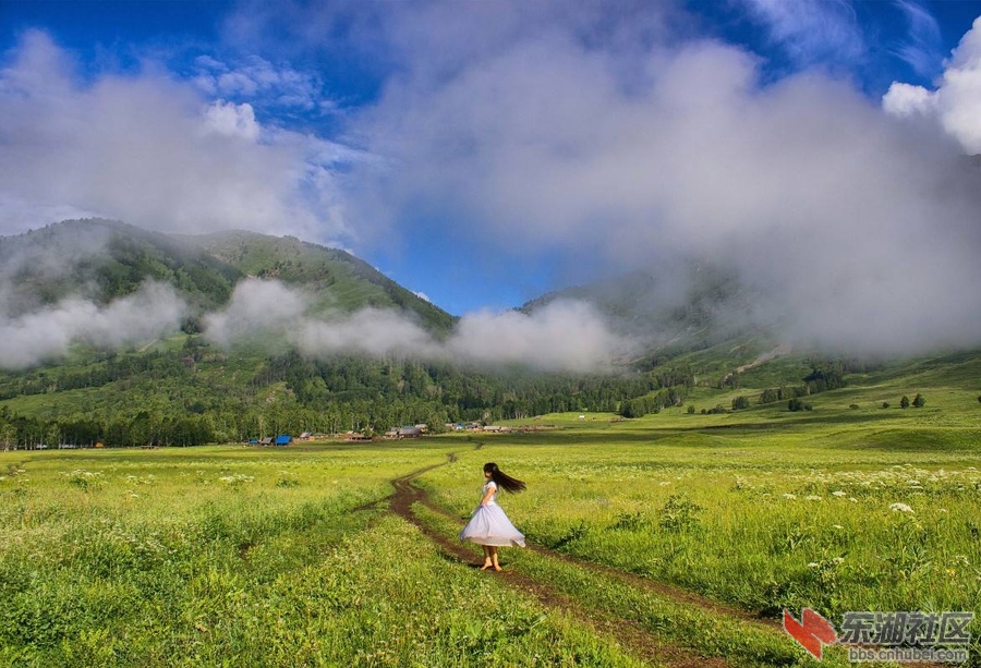 禾木的夏天.jpg