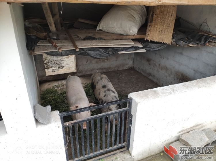 微信图片_20190710100104.jpg
