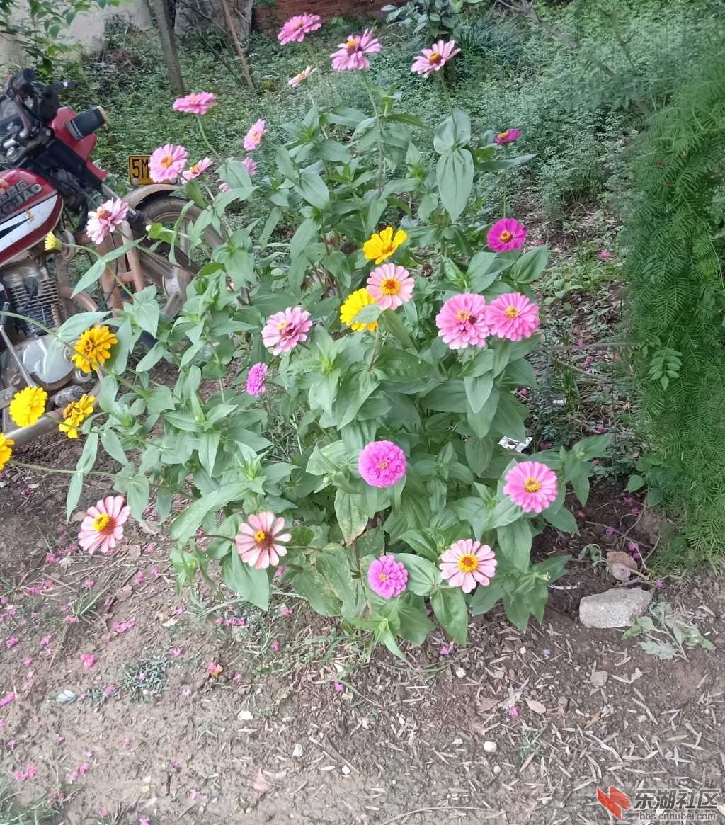 IMG_20190713_222325.jpg