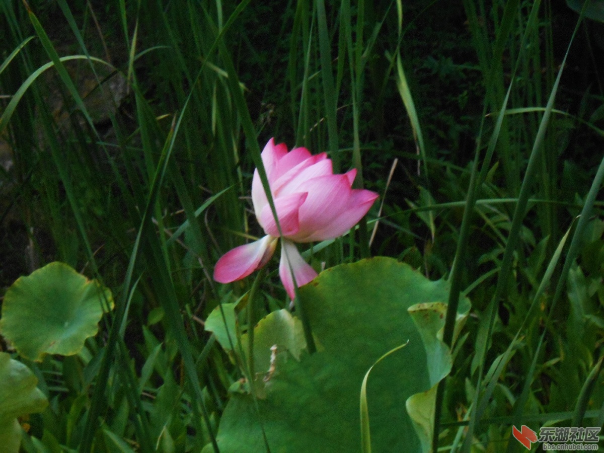 DSCN0895.JPG