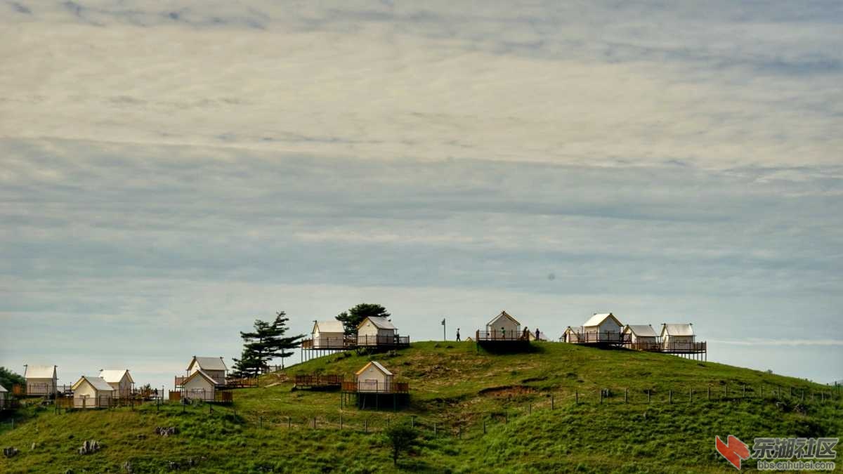 DSC06874-01.jpeg