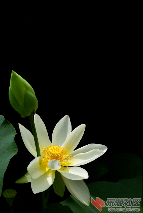 qq截图20190717201711.png