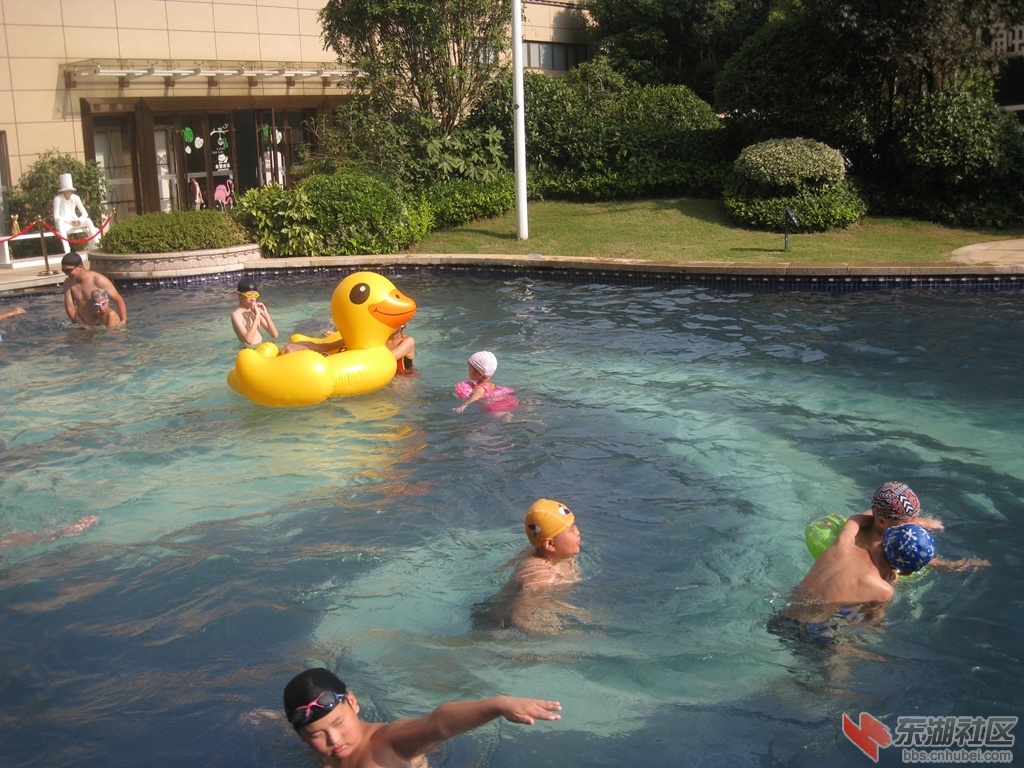 19.jpg