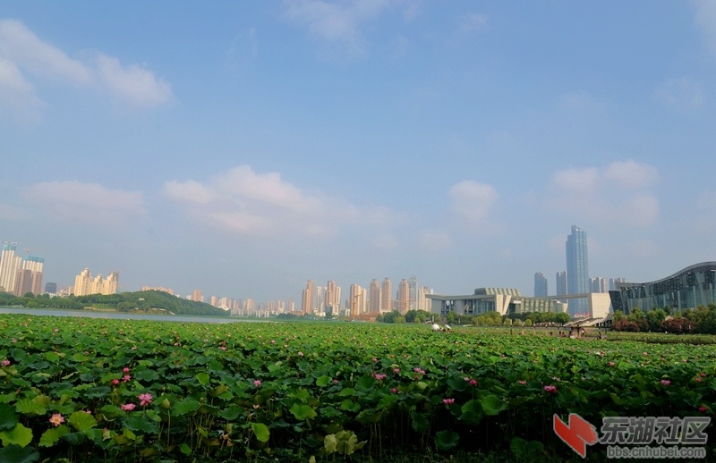 DSC_2968_副本.jpg