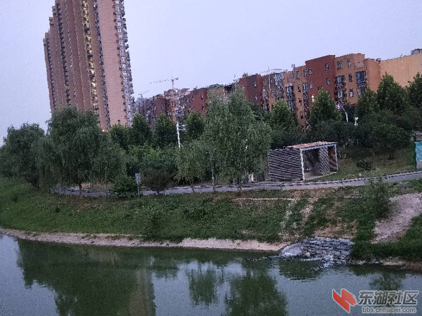 qq图片20190725094621.png