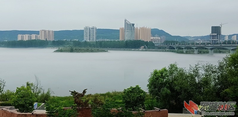 IMG20190727081103.jpg