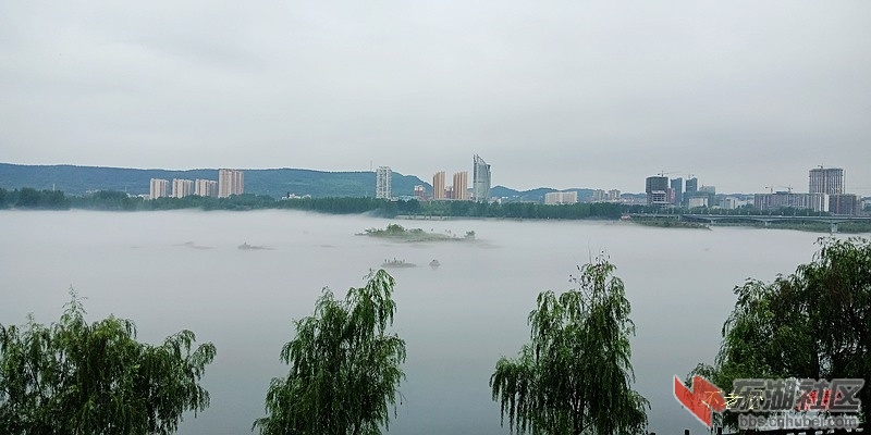 IMG20190727081457.jpg
