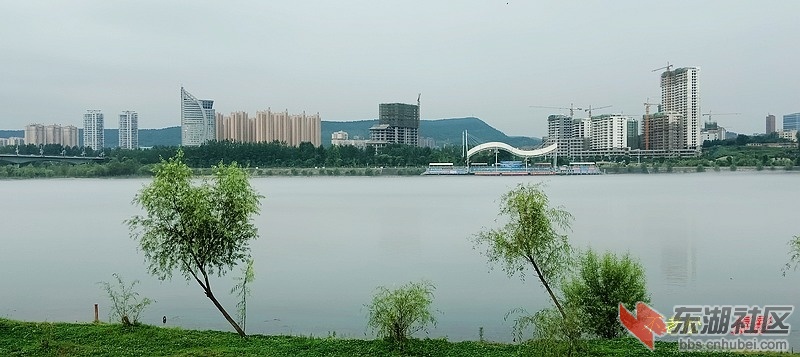 IMG20190727084533.jpg