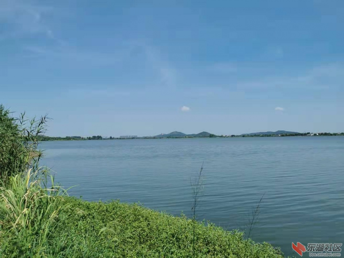 严东湖风景