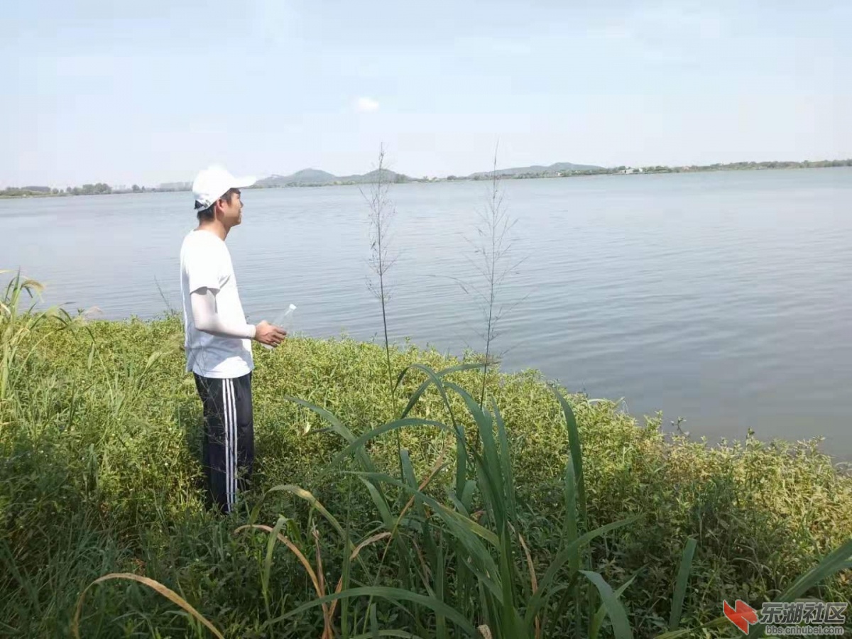 观鸟