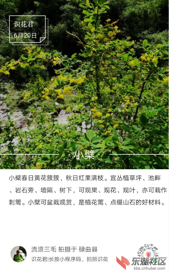 2019-07-29_115533.jpg