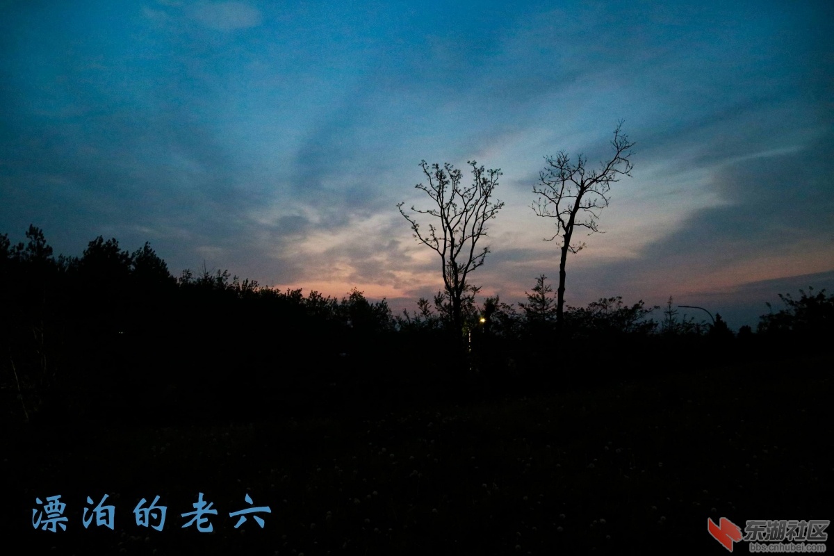 习家池的黎明