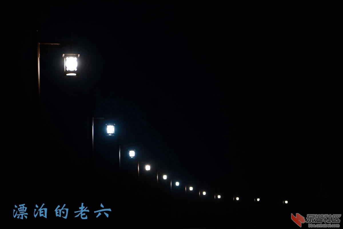 这里的黎明静悄悄