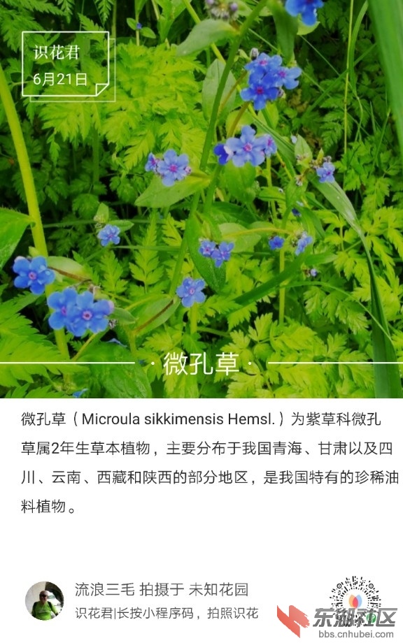 2019-07-30_123540.jpg