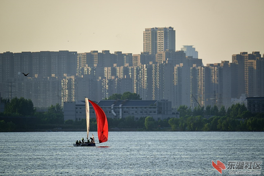 qq截图20190730212012.png