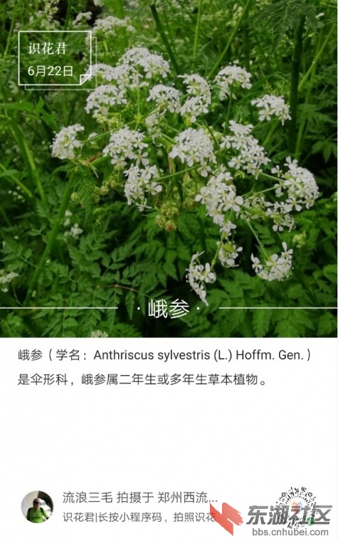 232510dbxxhgechu48zbpu.jpg.thumb.jpg