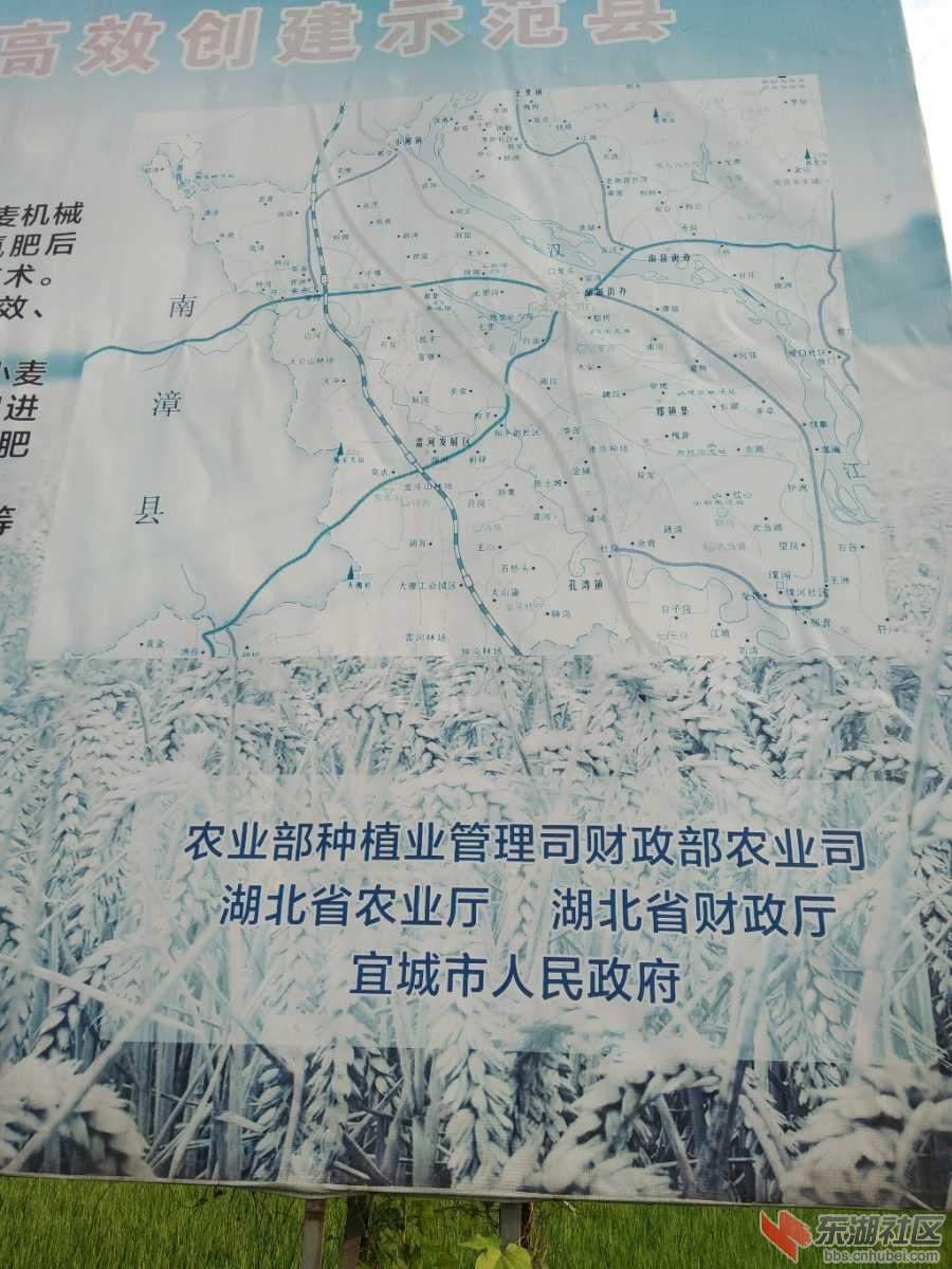 IMG_20190730_073250.jpg