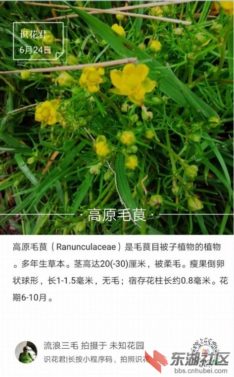 152407ji4b4h4omgua94jj.jpg.thumb.jpg